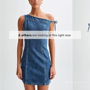 Meshki Denim Dress